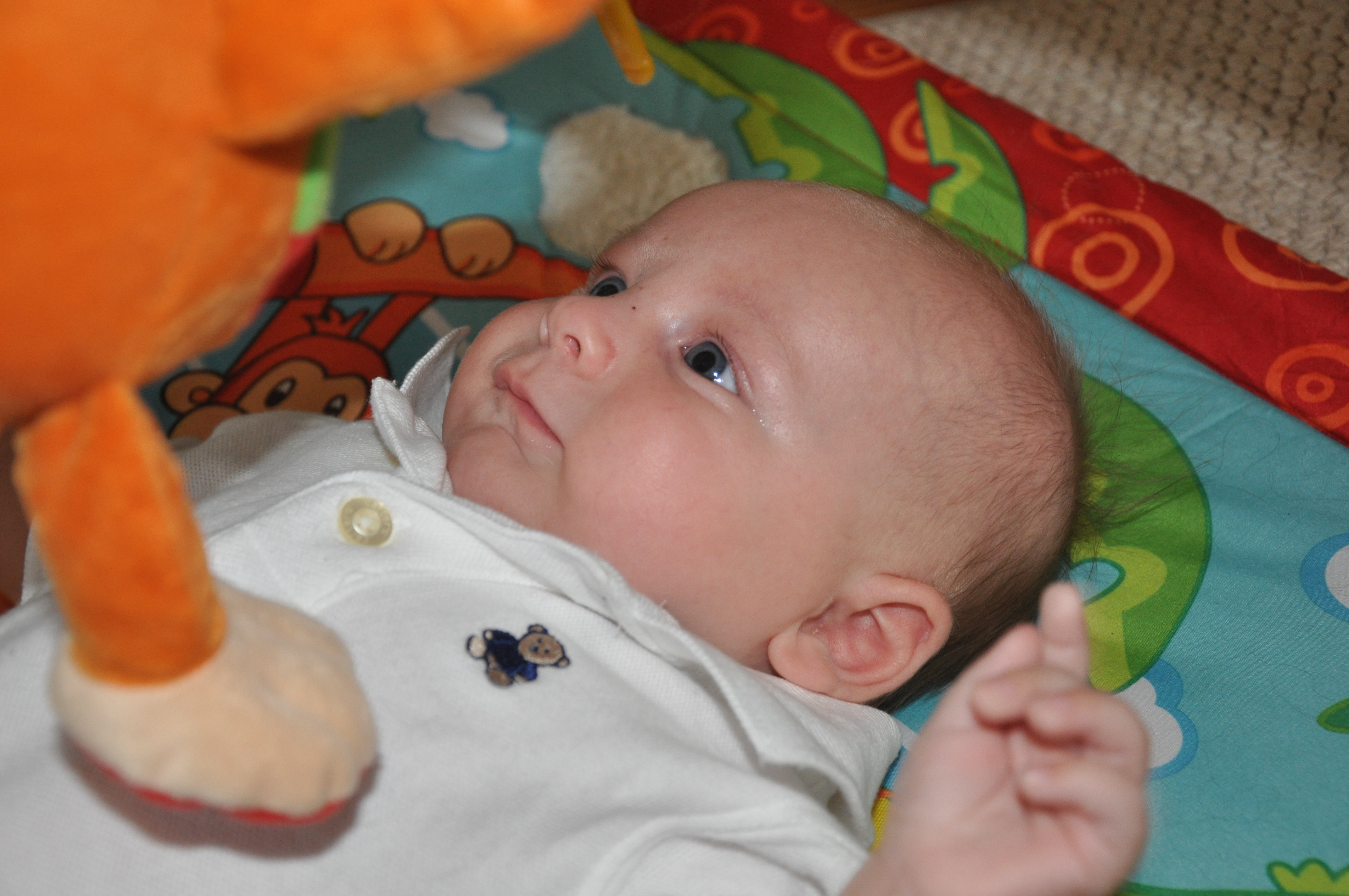 William's Tenth Week 27.jpg